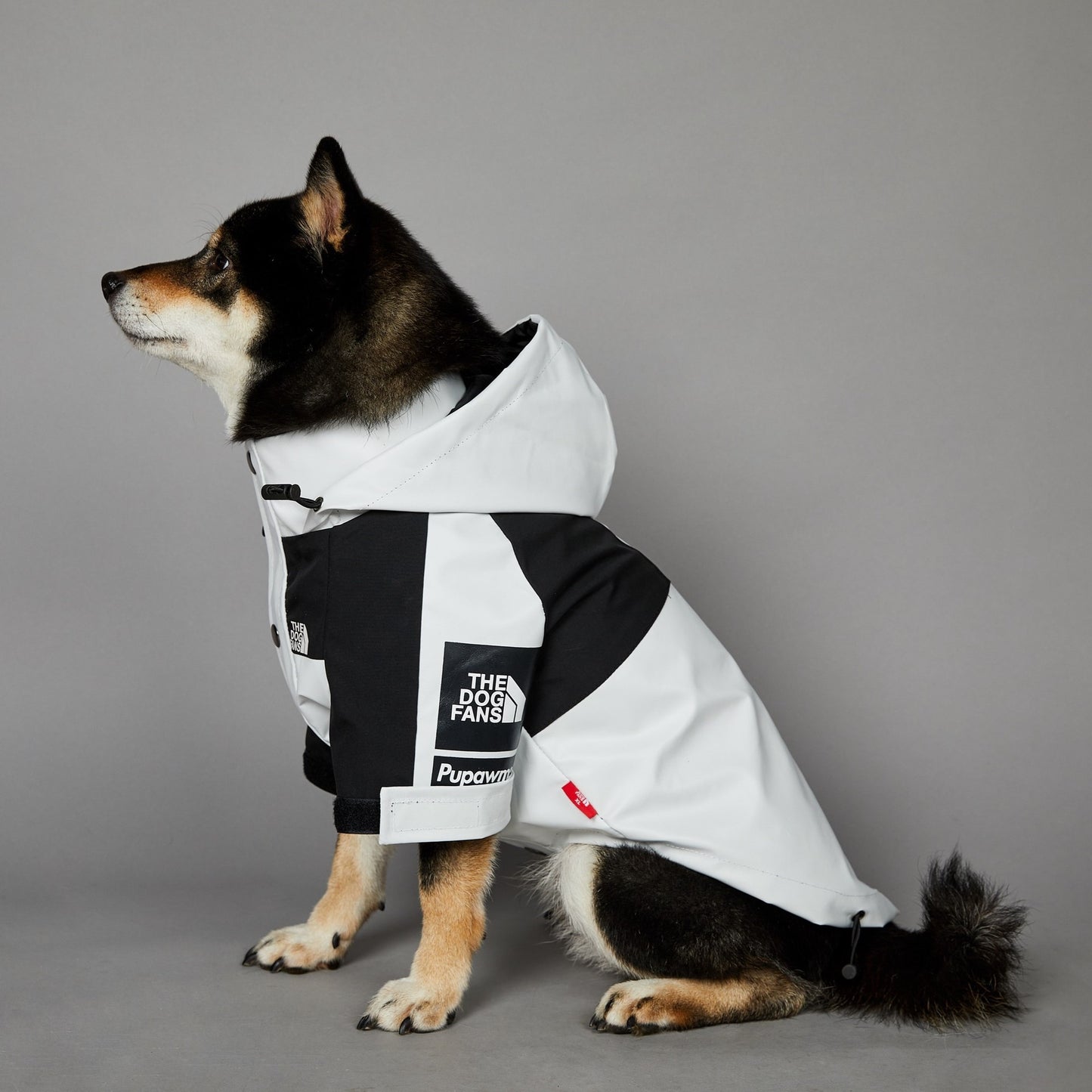 Pet Shell Jacket