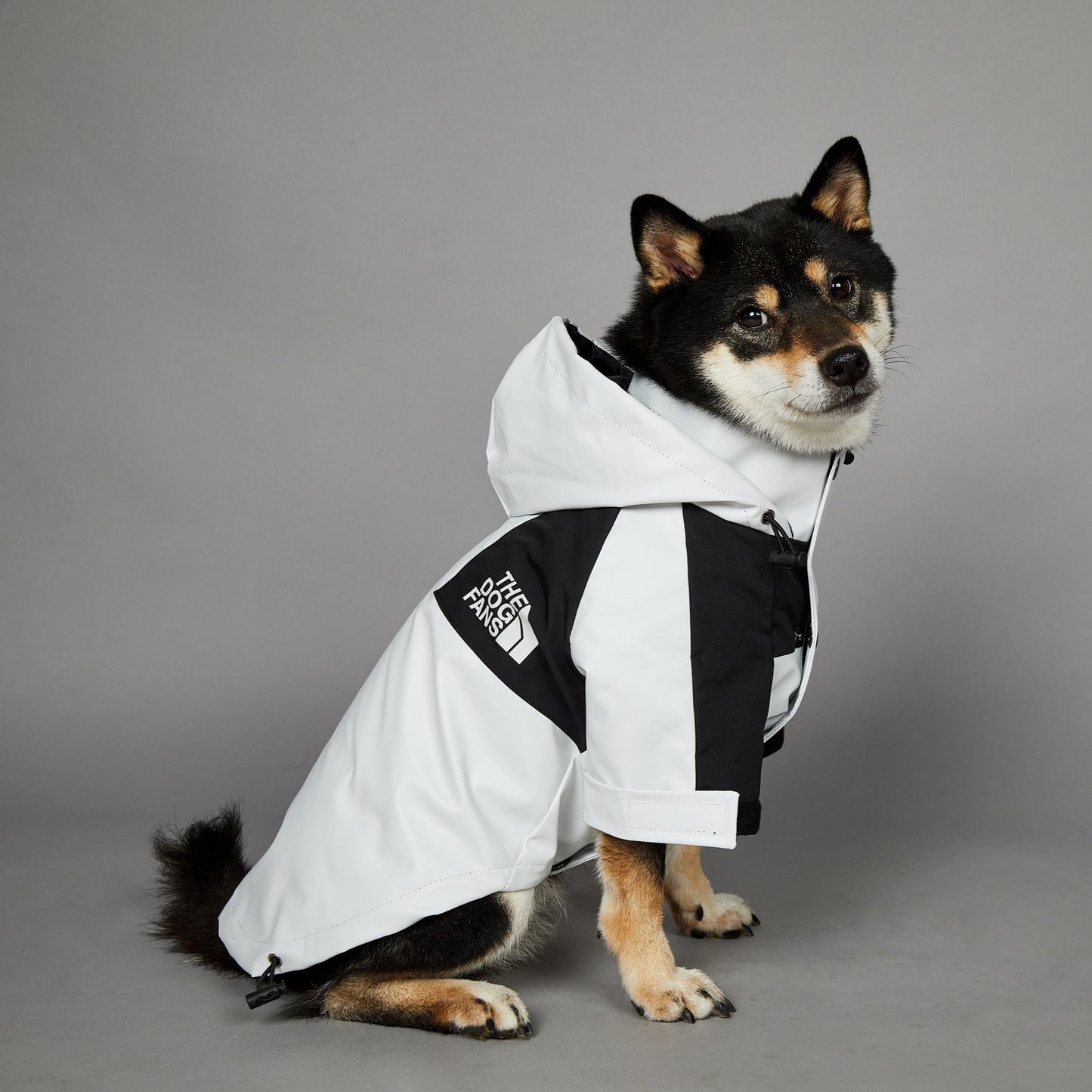 Pet Shell Jacket