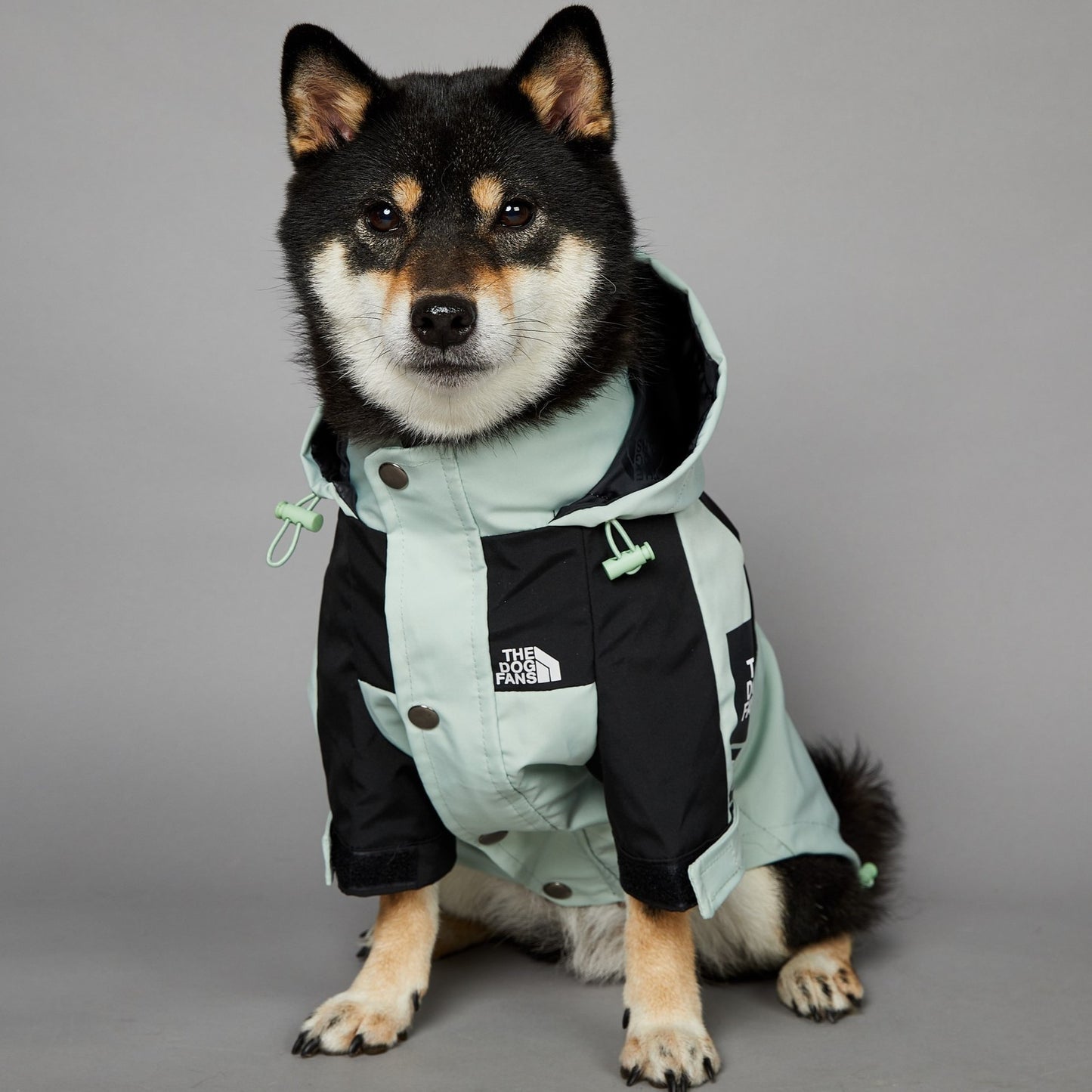Pet Shell Jacket