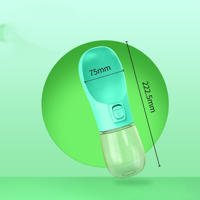 QuickSip Water Bottle