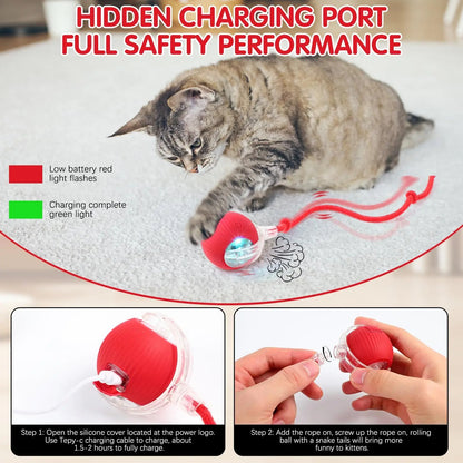 SpinNPlay Self-Rolling Pet Toy