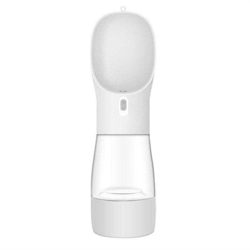 QuickSip Water Bottle