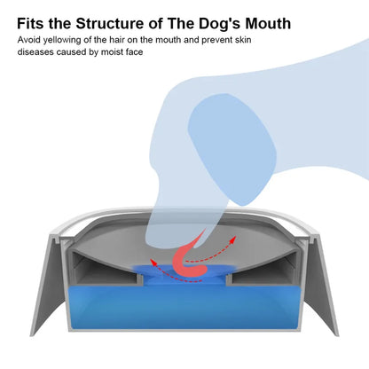 PetFlow Anti-Spill Bowl