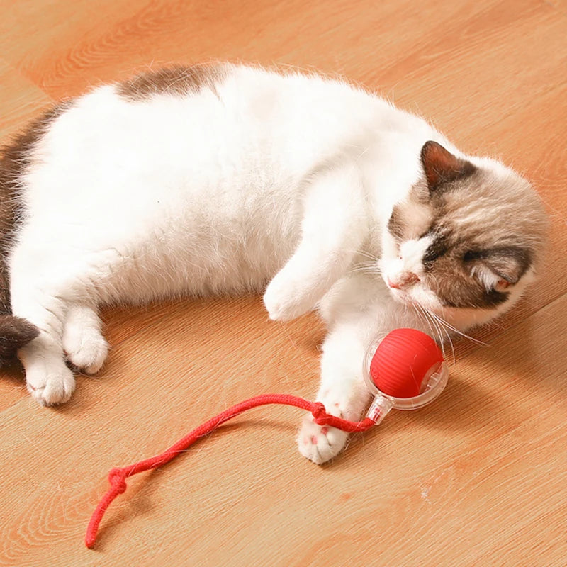 SpinNPlay Self-Rolling Pet Toy