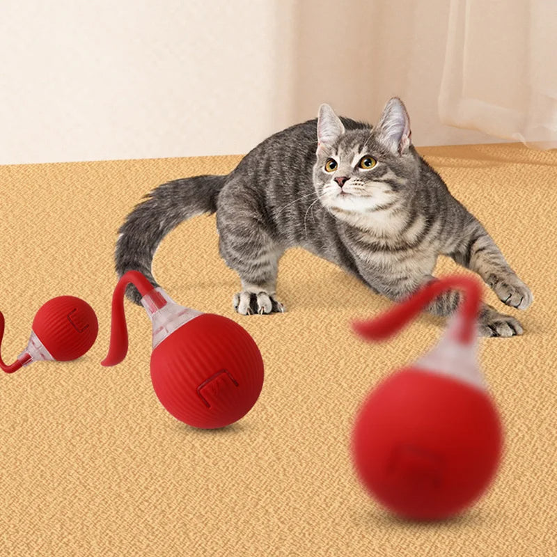 SpinNPlay Self-Rolling Pet Toy