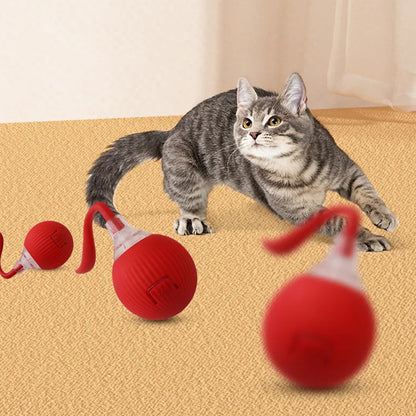 SpinNPlay Self-Rolling Pet Toy