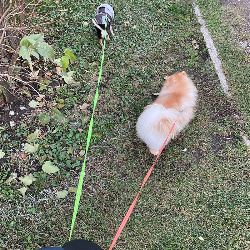 FlexWalkX