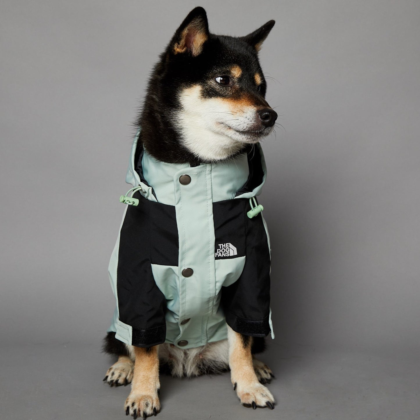 Pet Shell Jacket