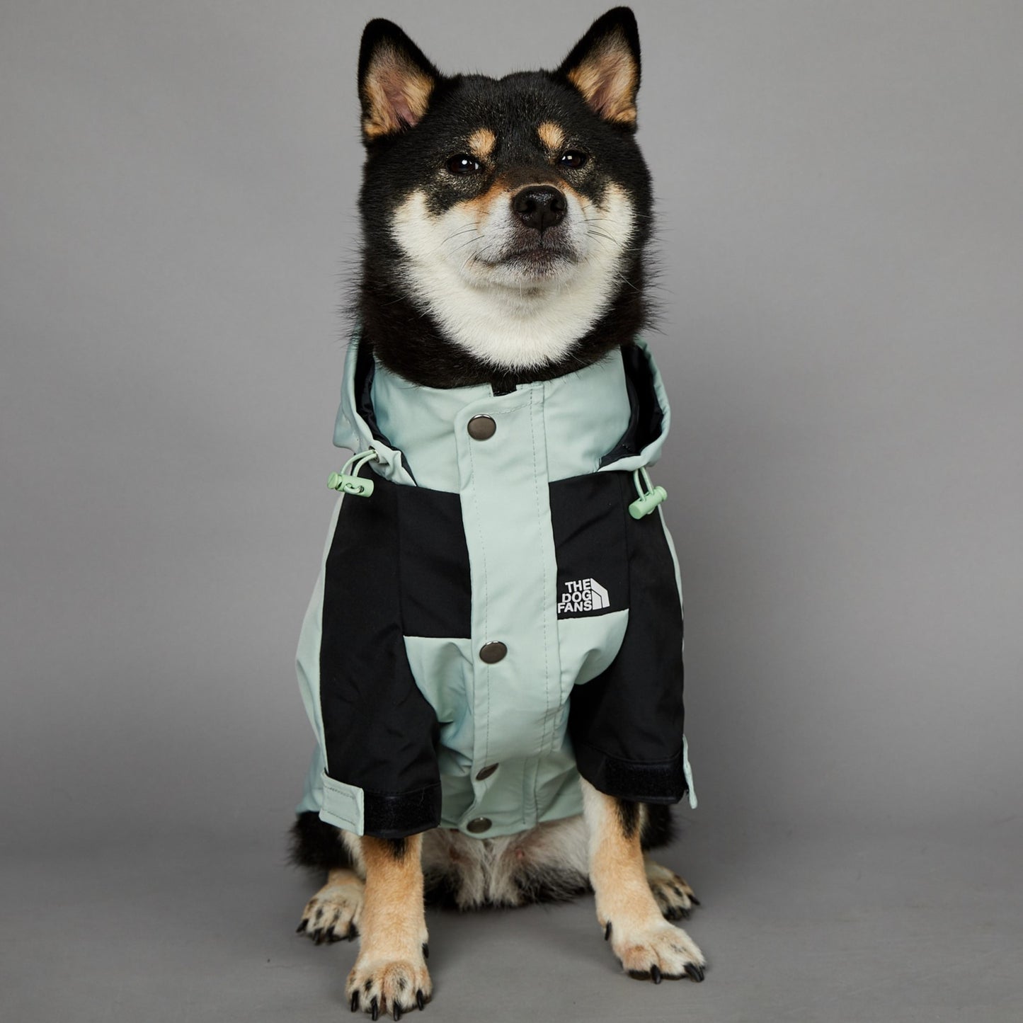 Pet Shell Jacket