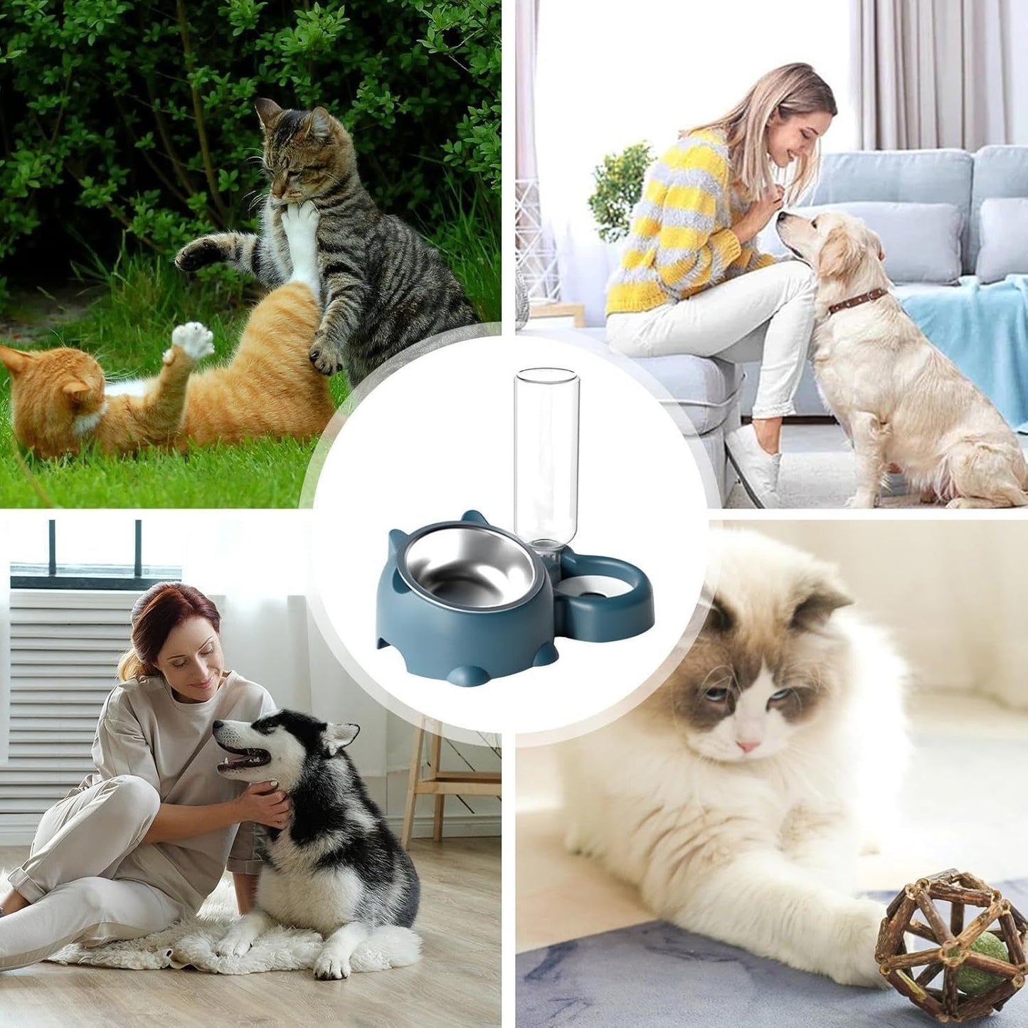 PetTilt Set
