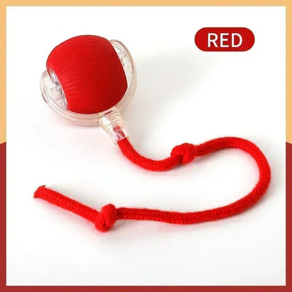 SpinNPlay Self-Rolling Pet Toy