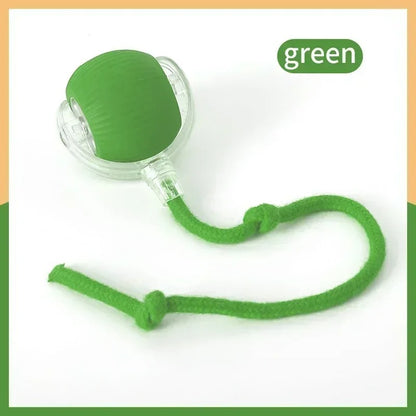 SpinNPlay Self-Rolling Pet Toy