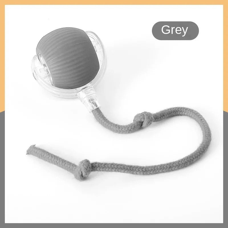 SpinNPlay Self-Rolling Pet Toy