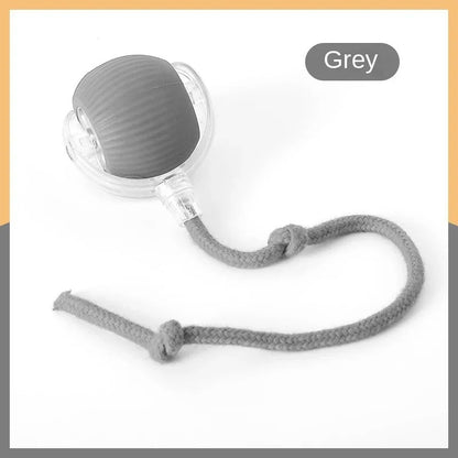 SpinNPlay Self-Rolling Pet Toy